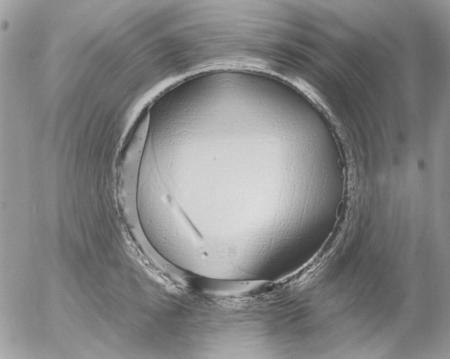 X0000052550854200507291914