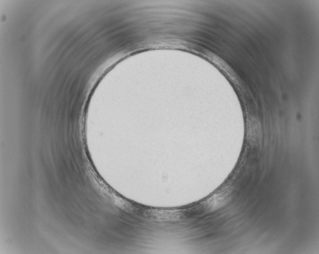 X0000052550856200507291914