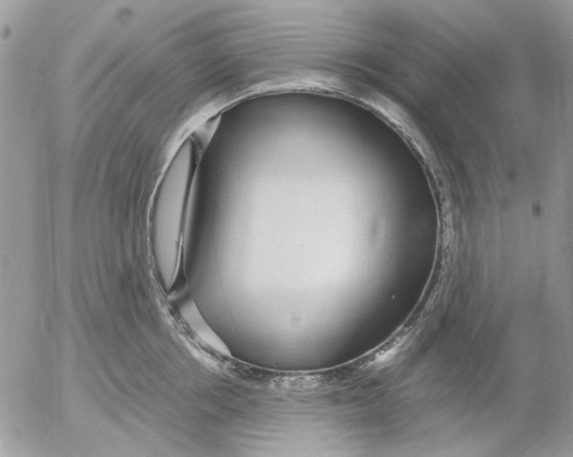 X0000052550858200507291914