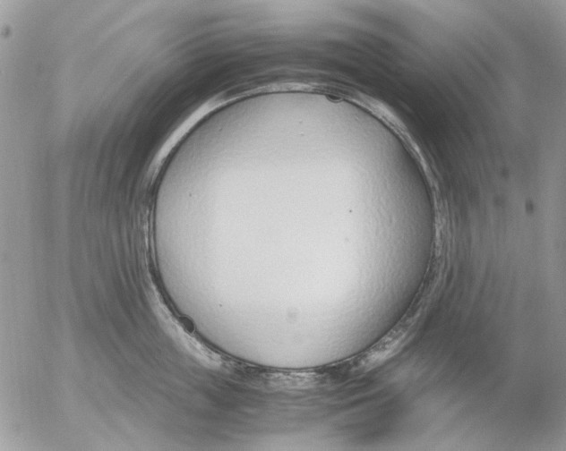 X0000052550859200507291914