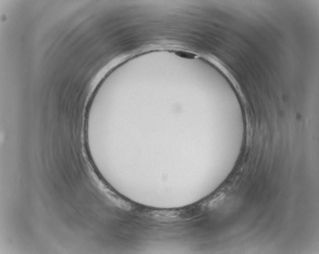 X0000052550861200507291914