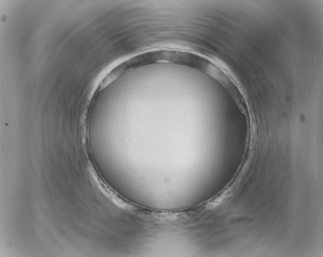 X0000052550862200507291914