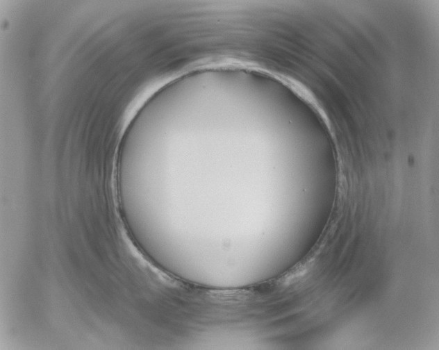 X0000052550863200507291914