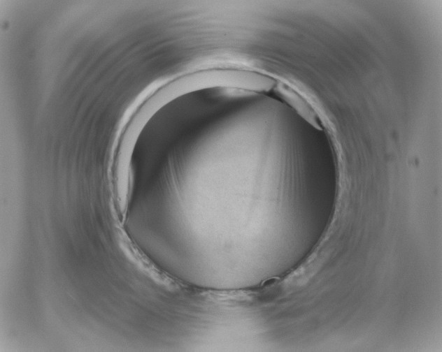 X0000052550864200507291914