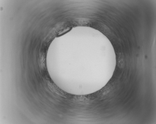 X0000052550866200507291913