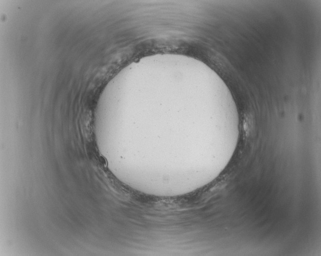 X0000052550867200507291913