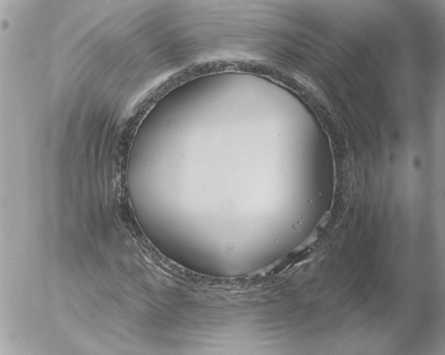 X0000052550872200507291913