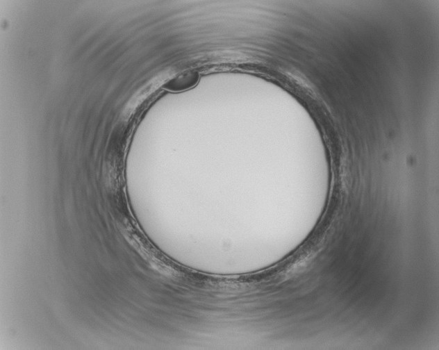 X0000052550873200507291913