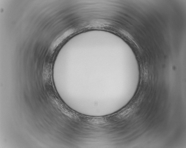 X0000052550874200507291913