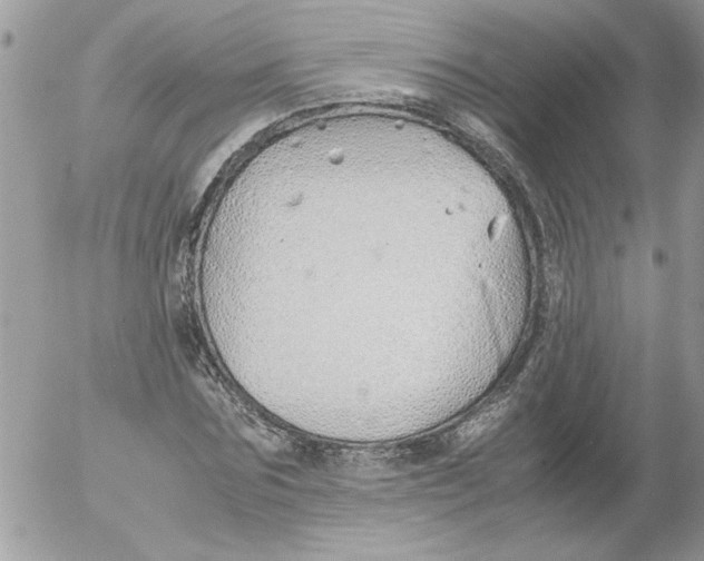 X0000052550875200507291913