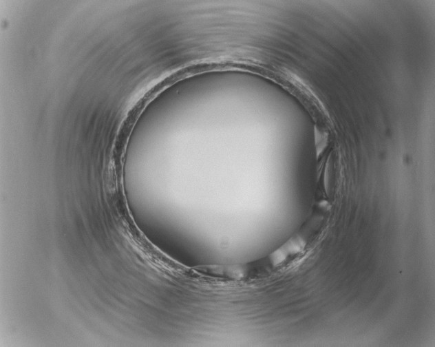 X0000052550876200507291913