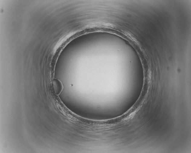 X0000052550877200507291913