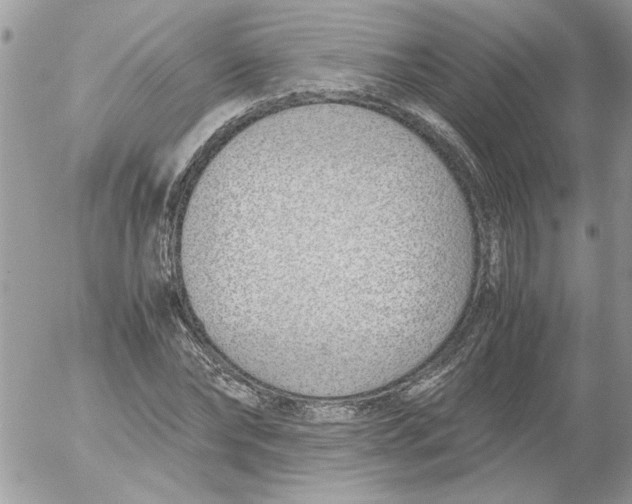 X0000052550878200507291913