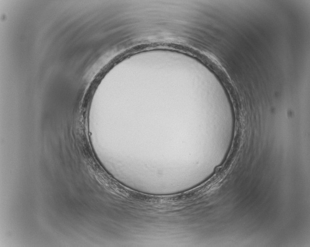 X0000052550879200507291913