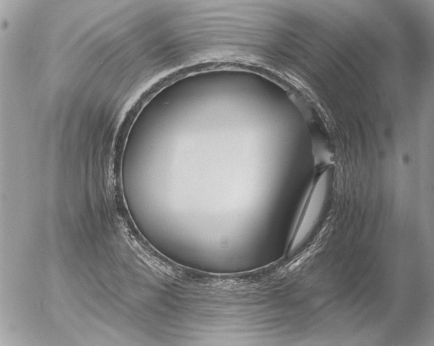 X0000052550880200507291913