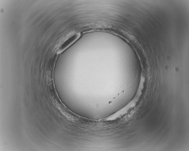 X0000052550881200507291913