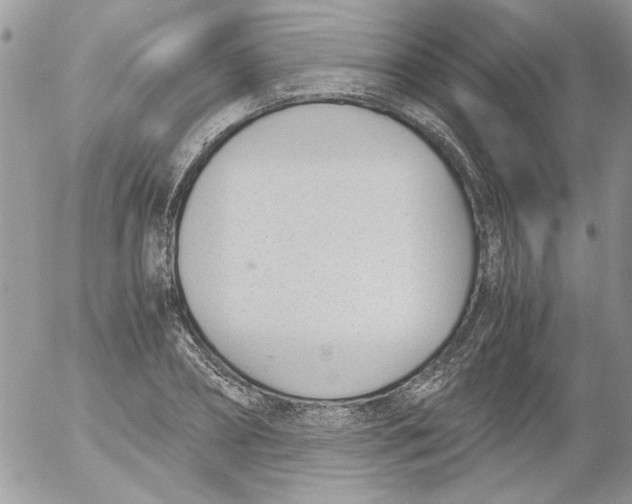 X0000052550882200507291913