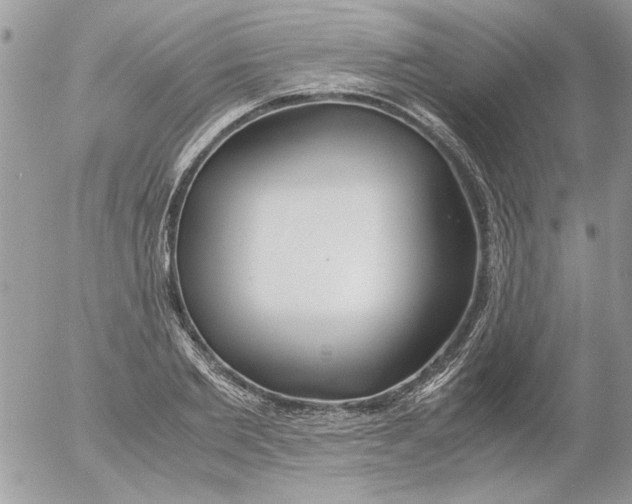 X0000052550885200507291913