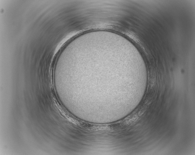 X0000052550886200507291913