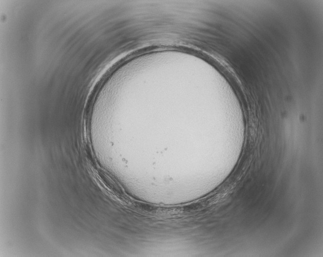 X0000052550887200507291913