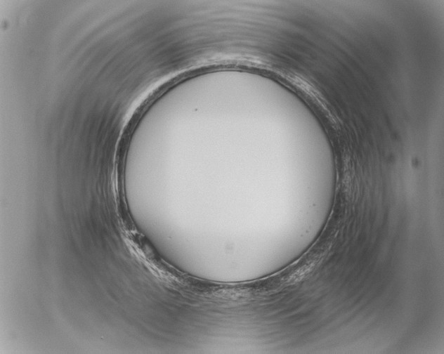 X0000052550888200507291913