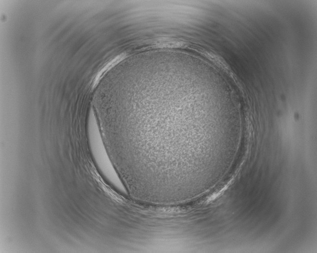 X0000052550889200507291913