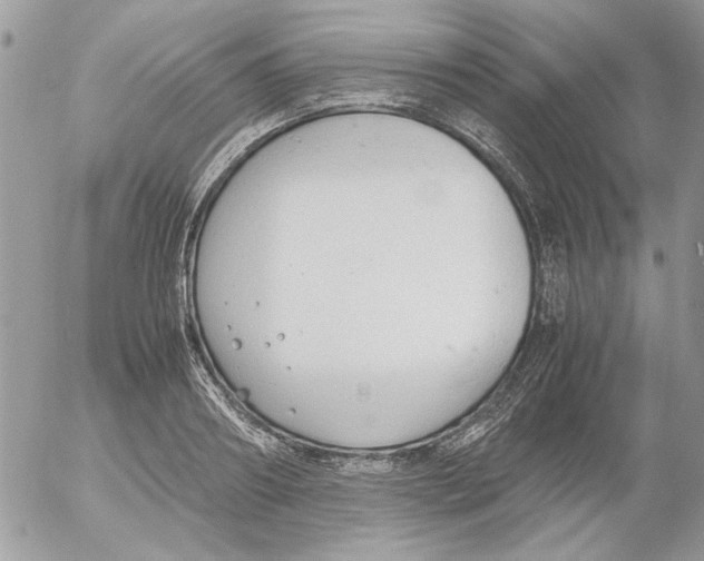 X0000052550890200507291913