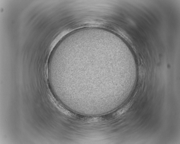 X0000052550891200507291913