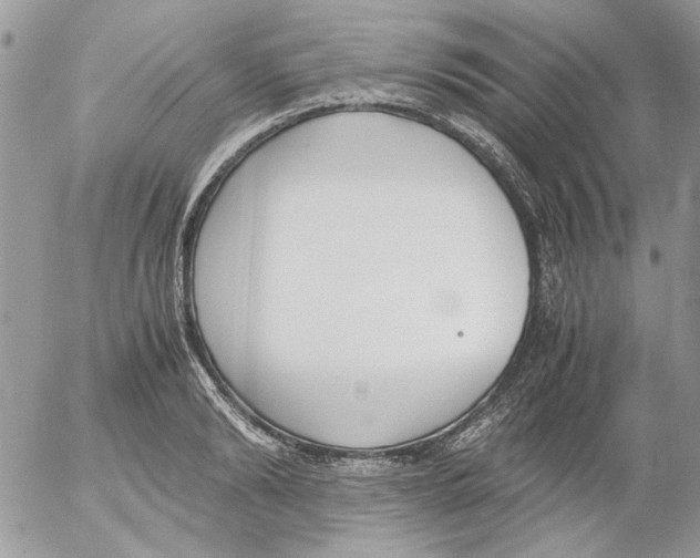 X0000052550894200507291913