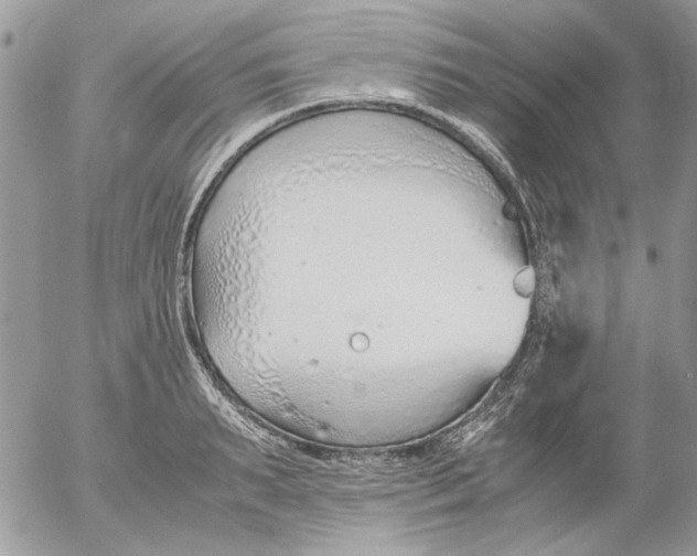 X0000052550895200507291913