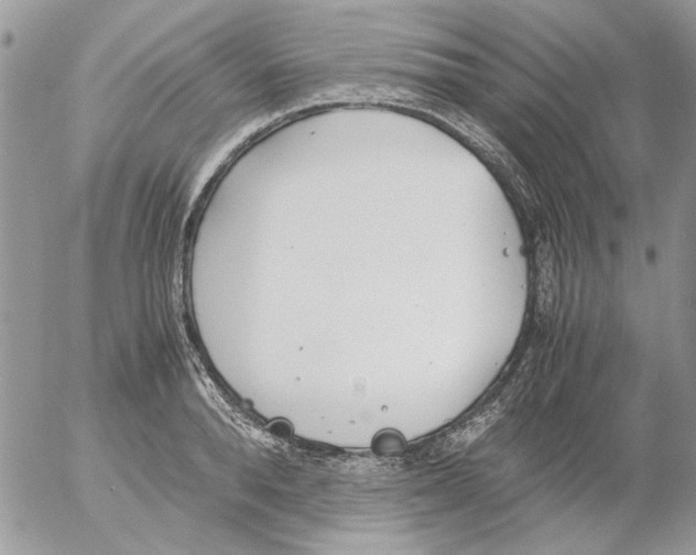 X0000052550896200507291913