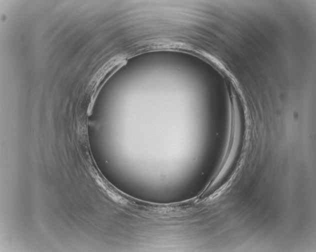 X0000052550897200507291913