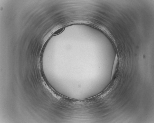 X0000052550898200507291913