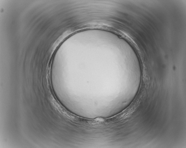 X0000052550899200507291913