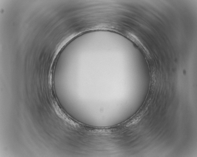 X0000052550900200507291913