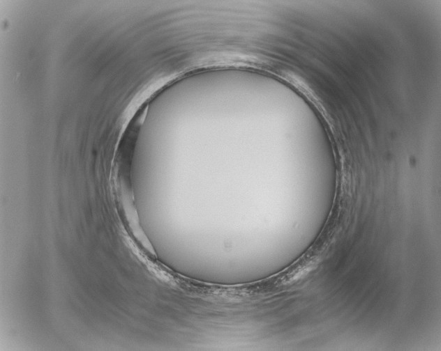 X0000052550901200507291912