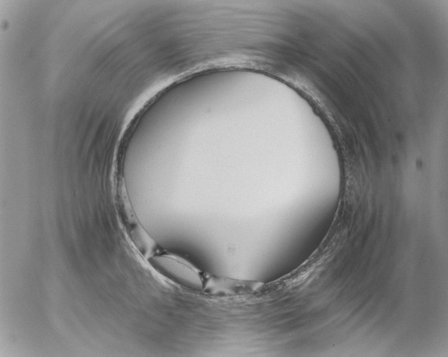 X0000052550902200507291912