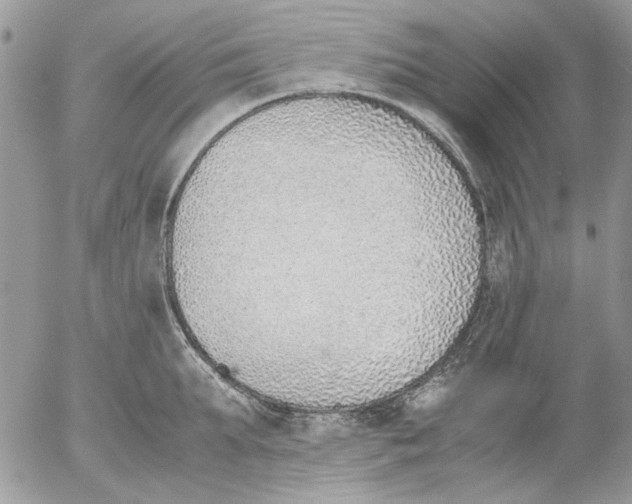 X0000052550903200507291912