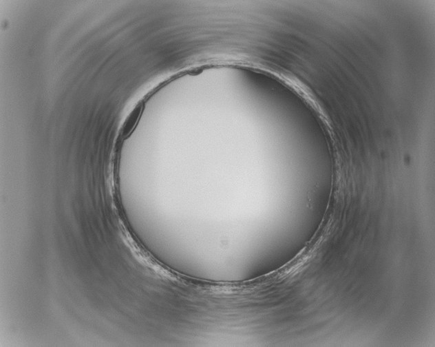 X0000052550904200507291912