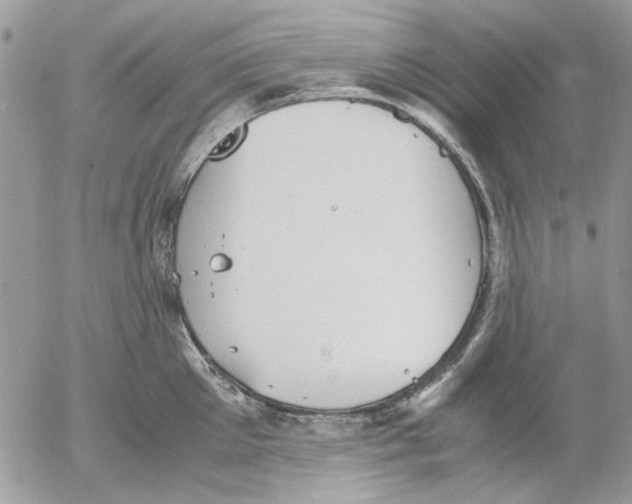 X0000052550905200507291912