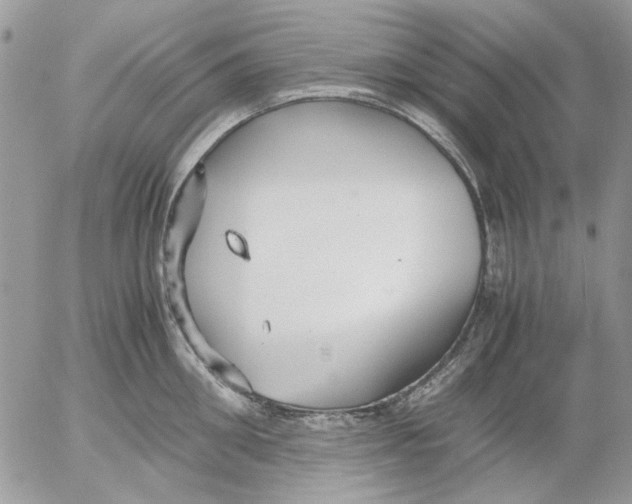 X0000052550906200507291912