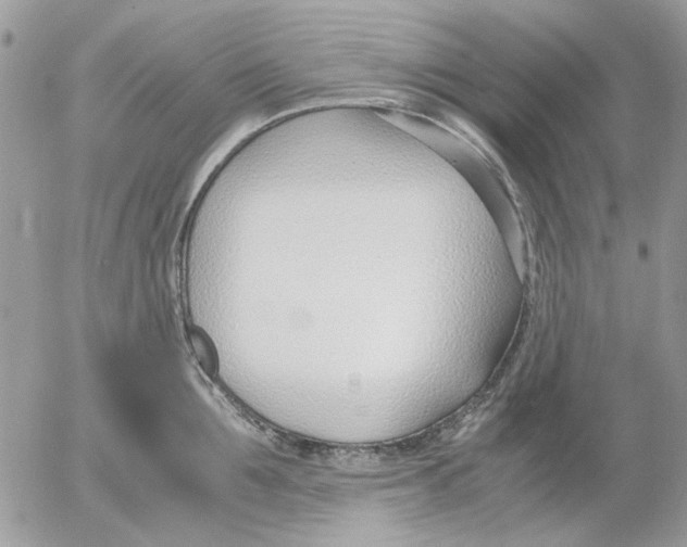 X0000052550907200507291912