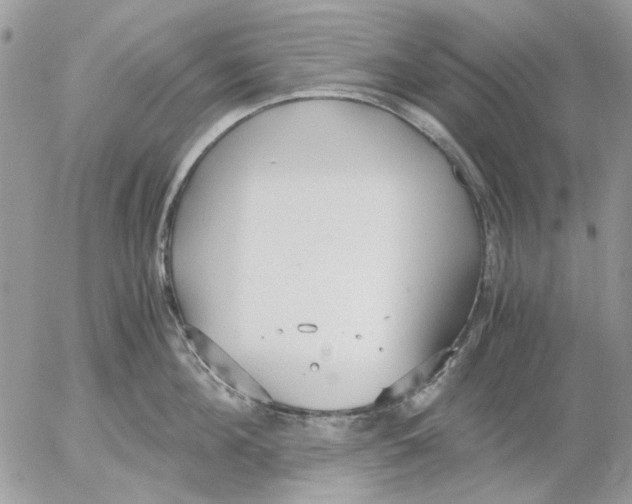 X0000052550908200507291912