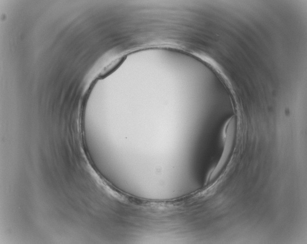 X0000052550910200507291912