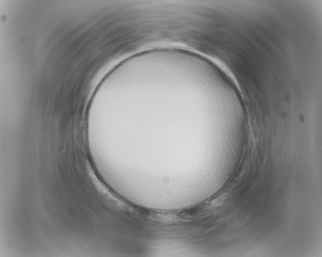 X0000052550911200507291912