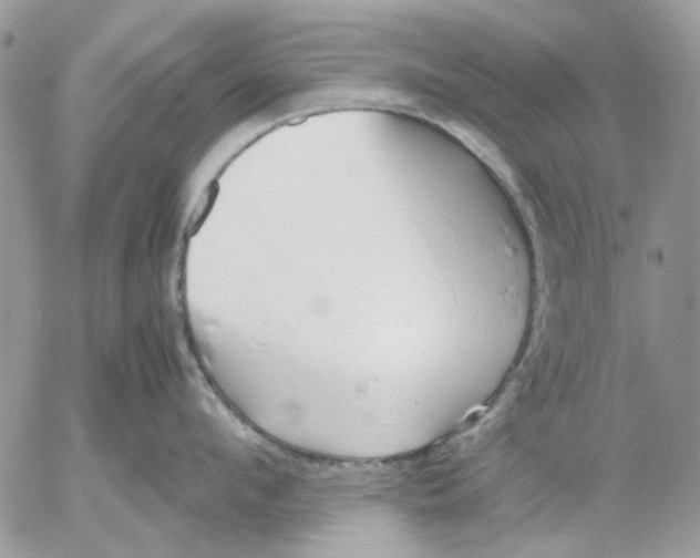 X0000052550912200507291912