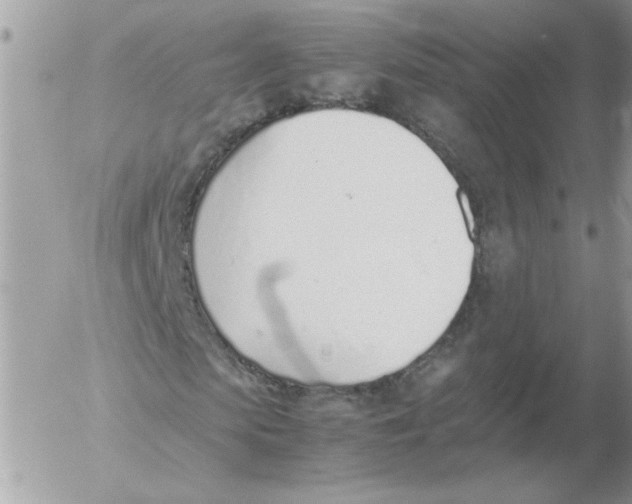 X0000052550913200507291912