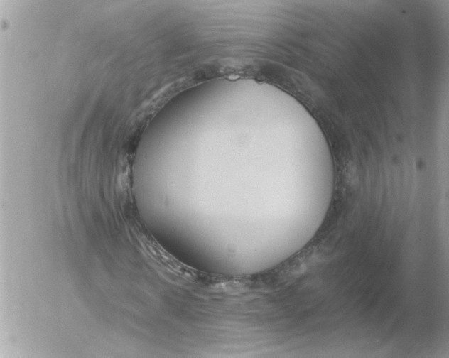 X0000052550914200507291912