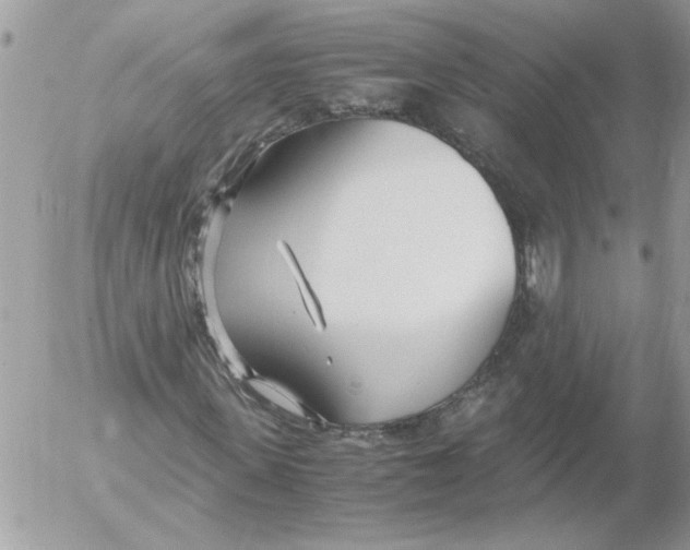 X0000052550915200507291912