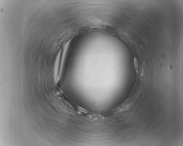 X0000052550916200507291912